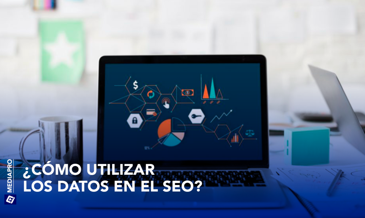 datos en el seo