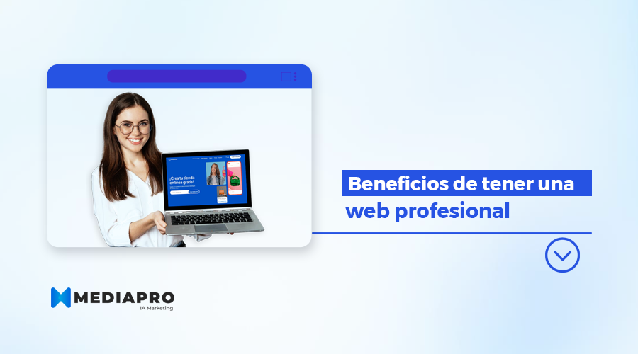 Web profesional